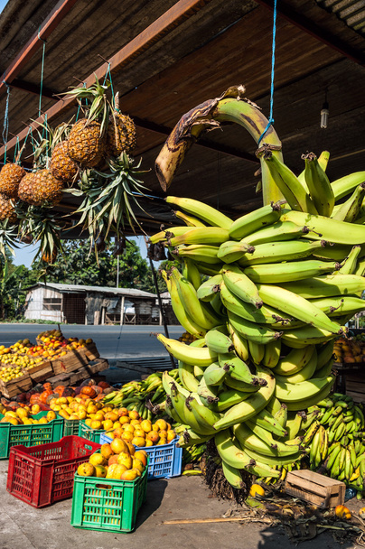 ラテン アメリカのストリート マーケット、エクアドル バナナ房 - 写真・画像