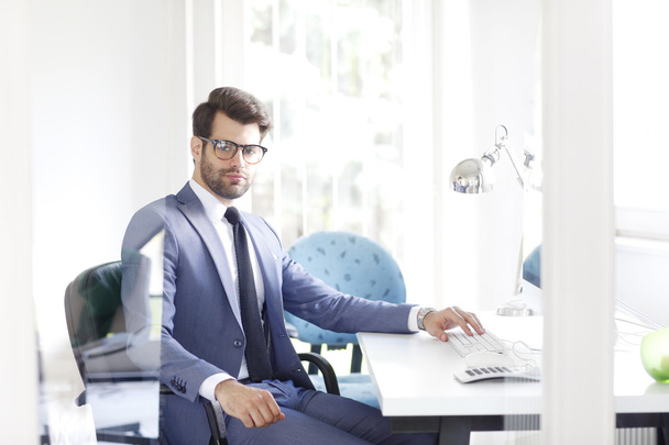 professional man sitting in front of computer - 写真・画像