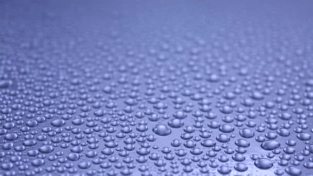 Group of water drops  - Footage, Video