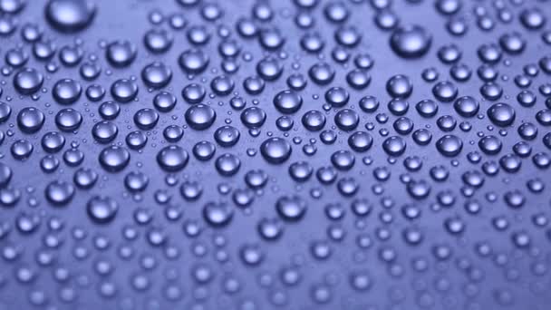 Group of water drops  - Footage, Video