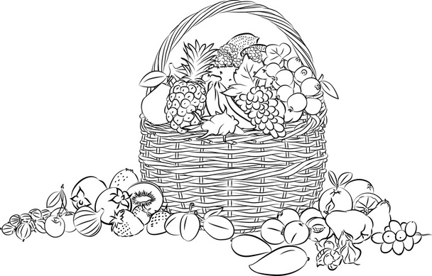 vettore cesto di frutta
 - Vettoriali, immagini