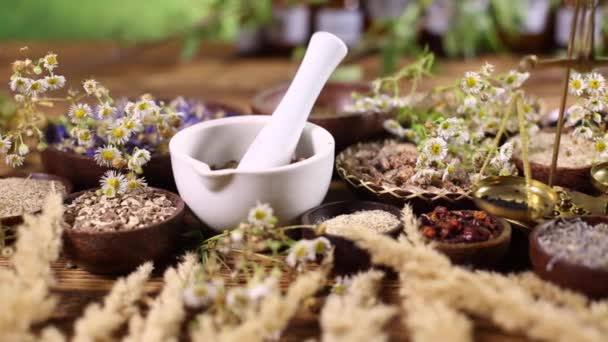 Herbes médicales naturelles assorties
 - Séquence, vidéo