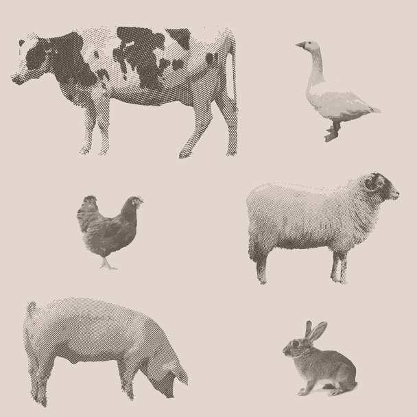 Çiftlik hayvanları. Vintage oyulmuş illüstrasyon  - Vektör, Görsel