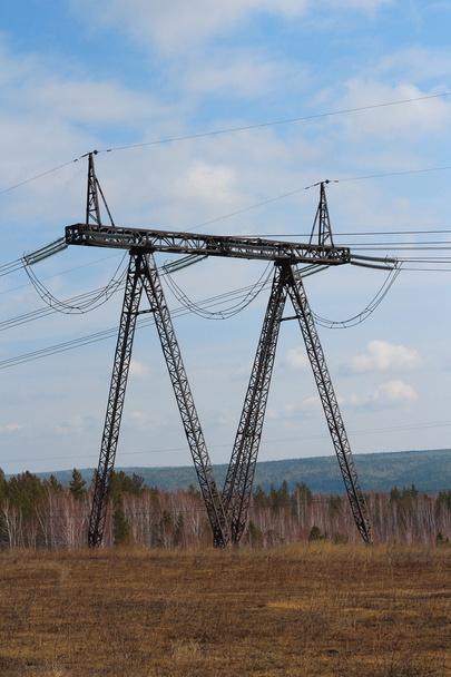 Red eléctrica cerca del campo
 - Foto, imagen