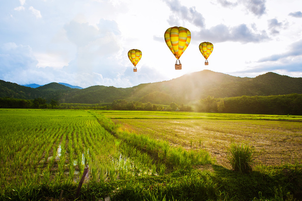 Ballon latające nad ryżowym polu, rano - Zdjęcie, obraz
