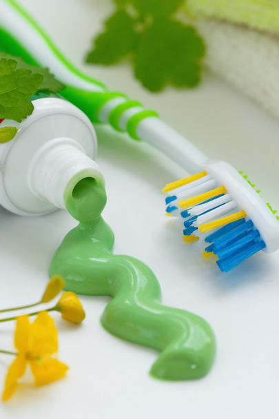 Dentifrice à base de plantes et brosse à dents
 - Photo, image