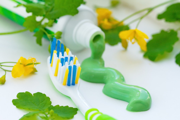 Pasta de dientes a base de hierbas y cepillo de dientes
 - Foto, Imagen