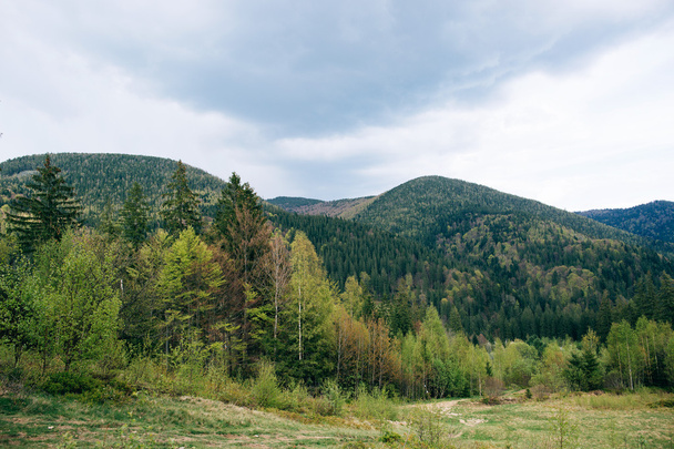 Green mountains view - Foto, Imagem