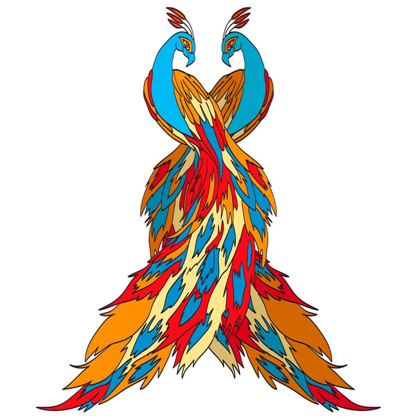 Peacock's tail. The background is white - Vector, imagen