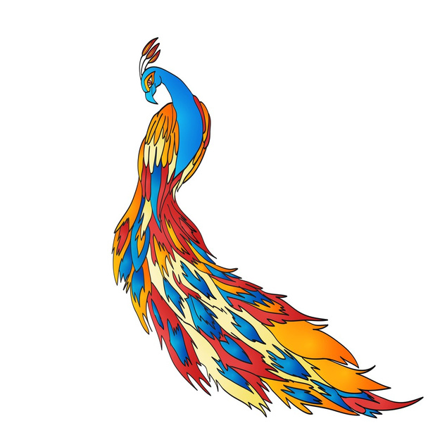 Peacock tail. The background is white - Vector, imagen