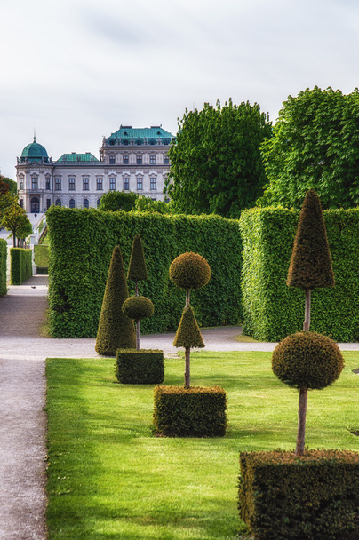 Puisto-puutarha monimutkainen Belvedere.Vienna
 - Valokuva, kuva
