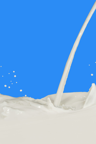Milk splash - Photo, Image