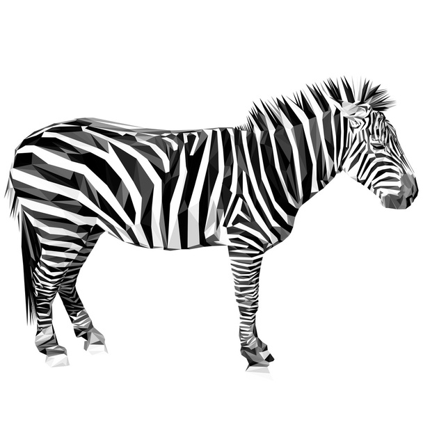Zebra animal low poly design. - ベクター画像