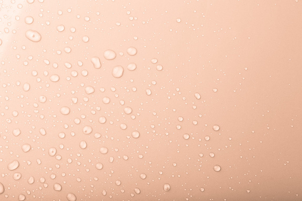 Drops of water on a color background. Pink. Shallow depth of fie - Foto, Bild
