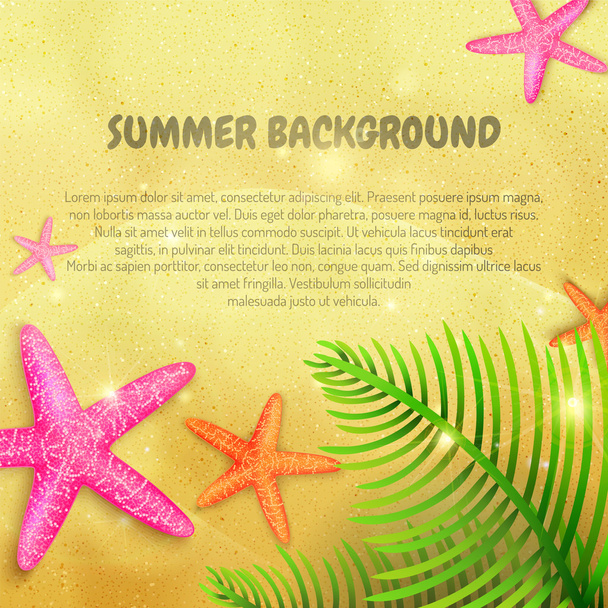 Vector summer background - Vector, Image