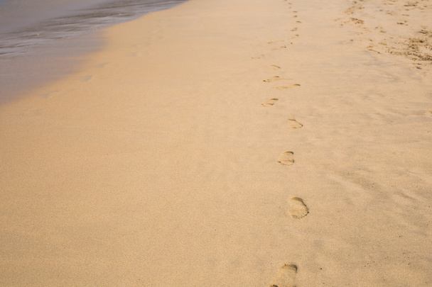 tracks on a sand - Fotó, kép