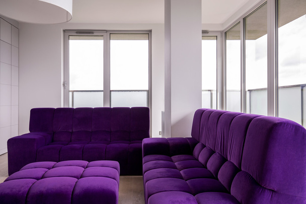 Living room with purple furniture - Фото, зображення