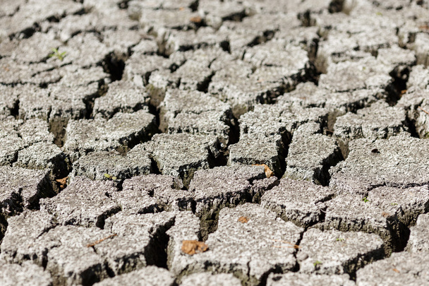 Cracked earth after drought. - Photo, Image