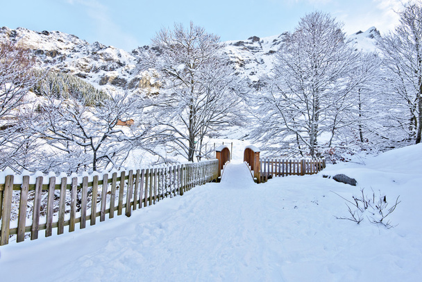 Cena de inverno de ponte de madeira na aldeia de Gourette
  - Foto, Imagem