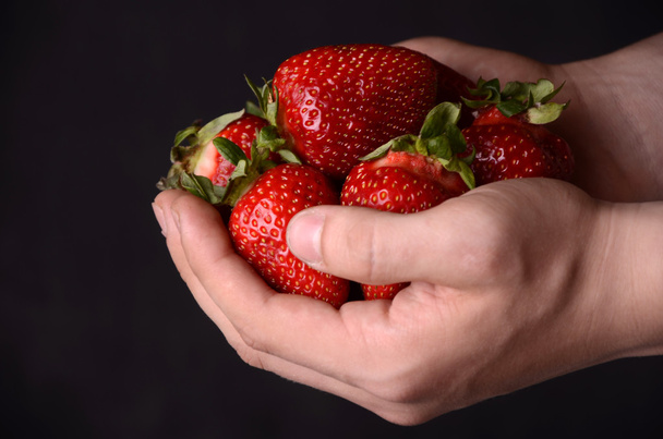 čerstvé jahody v rukou - Fotografie, Obrázek