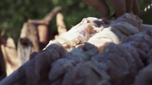 Crudo shish kebab en skewers
 - Imágenes, Vídeo