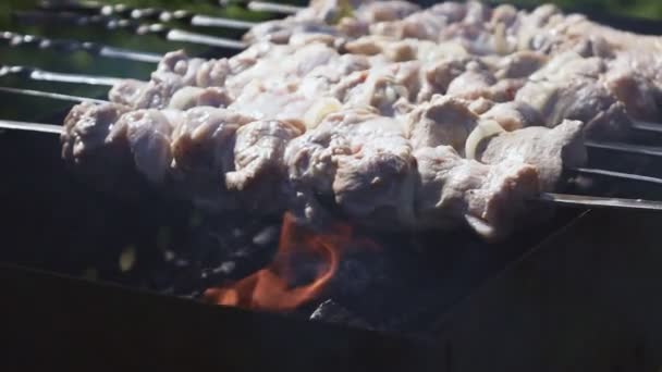 Fry Shish Kebab z rusztu - Materiał filmowy, wideo