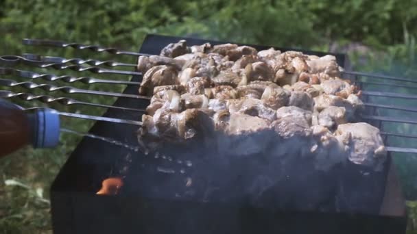 assado shish kebab no braseiro
 - Filmagem, Vídeo