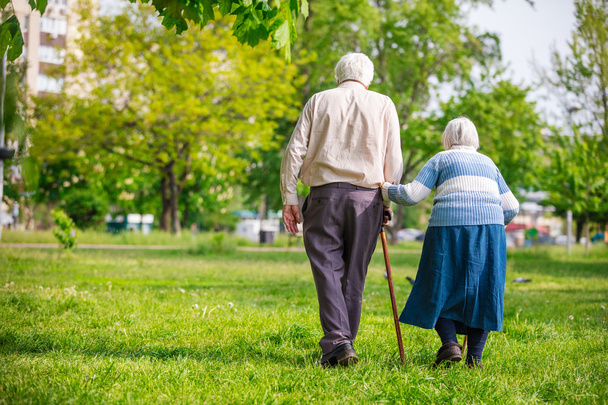 Senior couple walking  - Photo, image