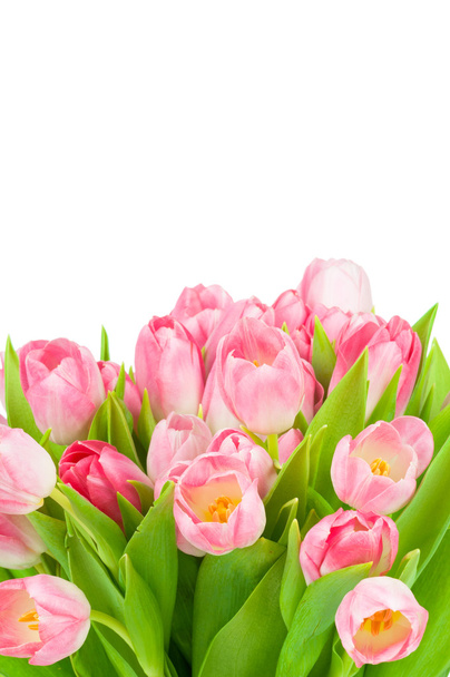 verse roze tulp bloemen - Foto, afbeelding