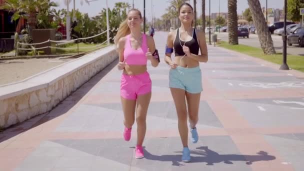 women in trendy sportswear out jogging together - Filmmaterial, Video