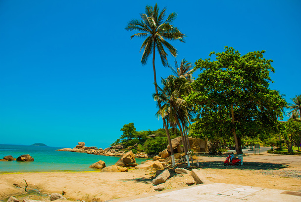 ヤシの木と青い海のビーチ。ニャチャン。ベトナム - 写真・画像