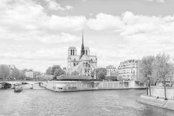 Notre Dame de Paris - Photo, image