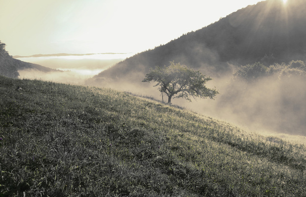sisli dağlar sabah - Fotoğraf, Görsel