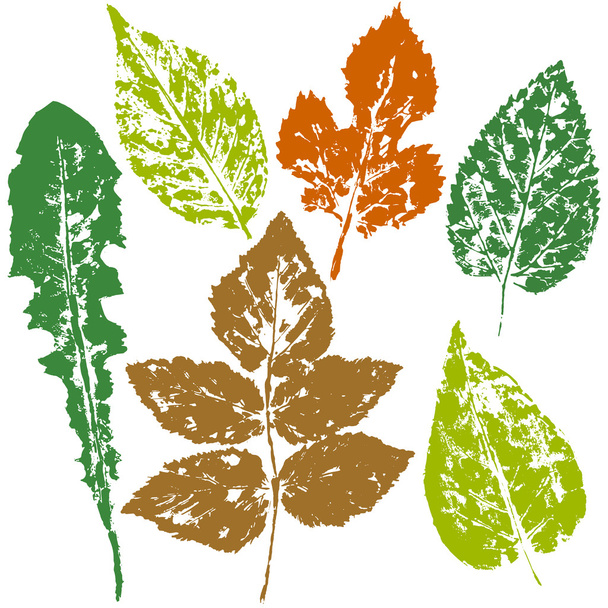 αποτύπωμα φύλλα, τα φύλλα για εκτύπωση - Διάνυσμα, εικόνα