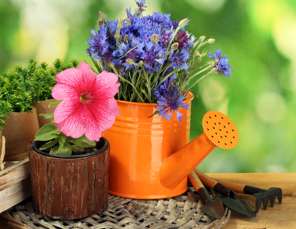 Watering can, tools and flowers on wooden table on green background - Foto, Imagen