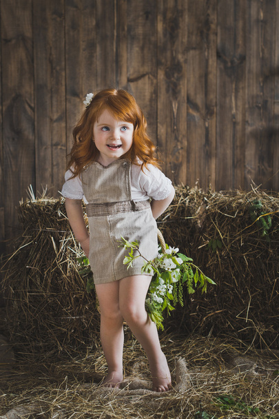 Studio portrait of red-haired little girls in the hay 6137. - Foto, Bild