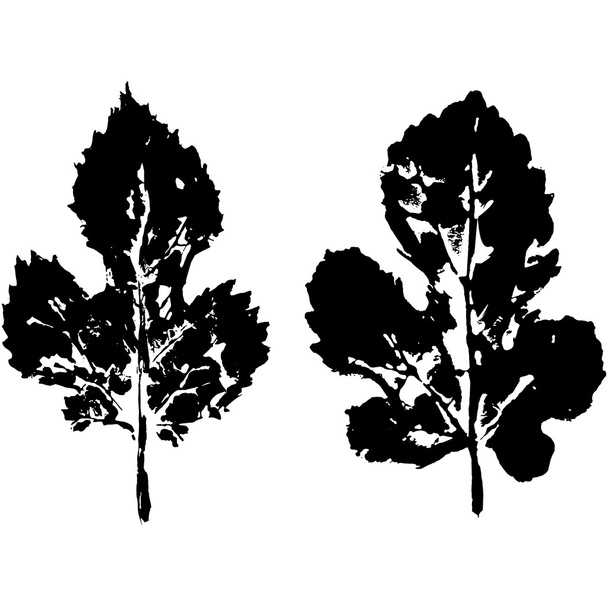 葉の足跡、シート印刷 - ベクター画像