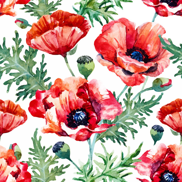Watercolor poppy flower pattern - Vecteur, image