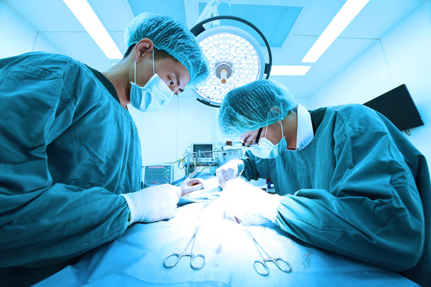 two veterinarian surgeons in operating room  - Foto, afbeelding