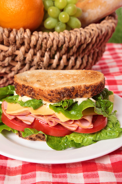 Picknick mand geroosterd ham en kaas sandwich, close-up - Foto, afbeelding