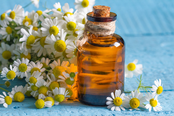Oil of chamomile with the fresh flowers closeup - Foto, imagen