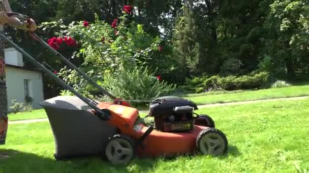 Mulher jardineiro em vestido manchado empurrar cortador de grama cortar grama prado. 4K
 - Filmagem, Vídeo