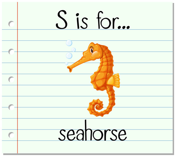 Flashcard letra S é para cavalo-marinho
 - Vetor, Imagem