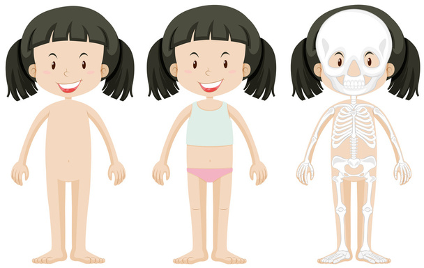 Chica y partes del cuerpo
 - Vector, imagen