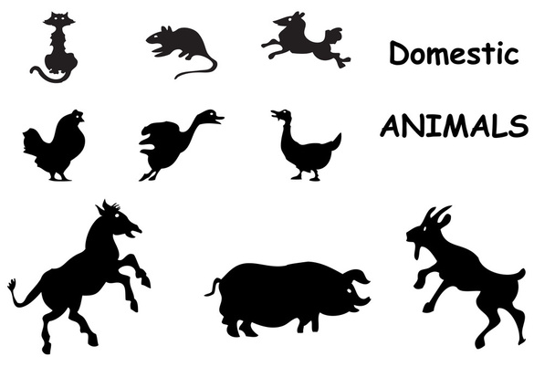 Domestic animals silhouettes - Vector, Image