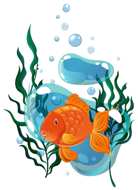 Золота рибка плаває під водою
 - Вектор, зображення