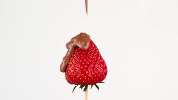 Aardbeien gedoopt in chocolade. Chef-kok giet chocolade rijpe aardbeien. Witte achtergrond. Close-Up. - Video