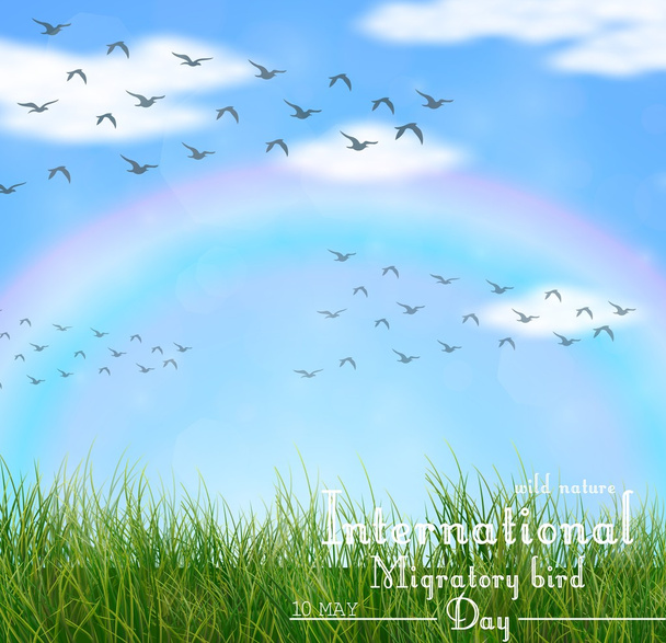 Wild nature with green grass and flying birds - Vector, Image