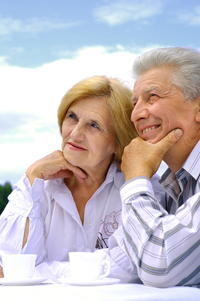 Happy Caucasian elderly couple - Zdjęcie, obraz