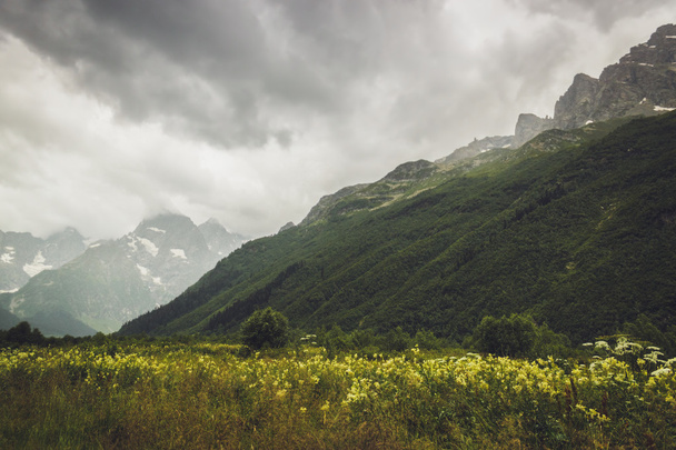 mountains with green grass and stormy sky - Foto, afbeelding